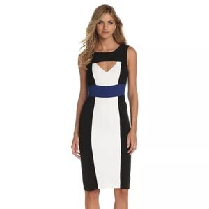 BCBG MAXAZRIA dress